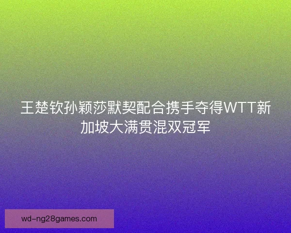 王楚钦孙颖莎默契配合携手夺得WTT新加坡大满贯混双冠军